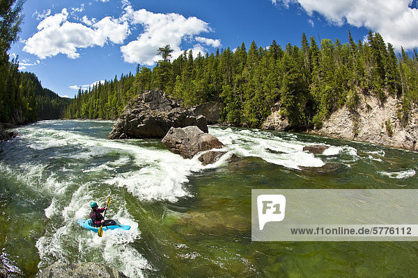 A young woman paddles one of the many surf waves on the Clearwater River  Clearwater  British Columbia  Canada
