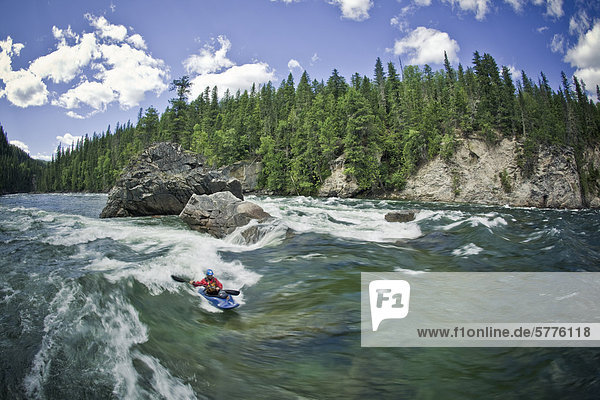 A young woman paddles one of the many surf waves on the Clearwater River  Clearwater  British Columbia  Canada