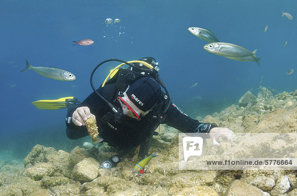 Scuba diver  reef  Marmaris  Turkey  Western Asia