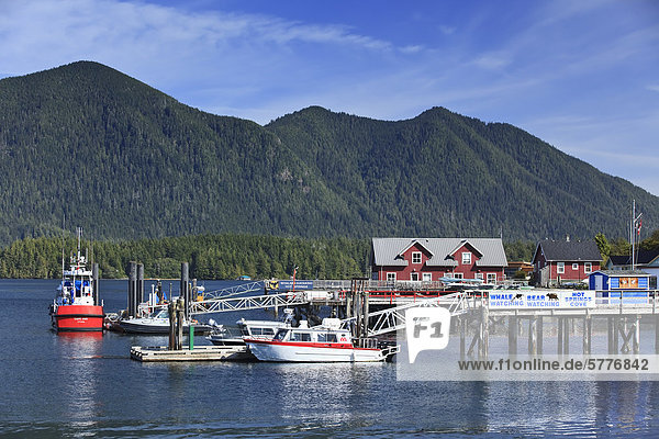 Wale beobachten Boote im Hafen von Tofino  Clayoquot Sound  Vancouver Island  British Columbia  Kanada.