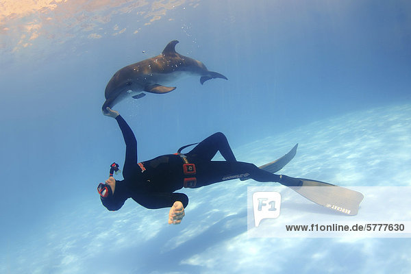 Freediver and Bottlenose Dolphin (Tursiops truncatus) dolphinarium Odessa Ukraine Eastern Europe