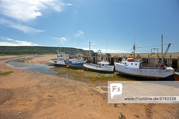 fishing boats at low tide  Advocate Harbour  Bay of Fundy  Nova Scotia  Canada