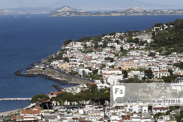 Blick auf Casamicciola Terme  Insel Ischia  Golf von Neapel  Kampanien  Süditalien  Italien  Europa