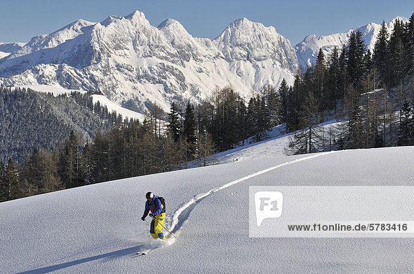 Skier  Steinplatte skiing region  Reit im Winkl  Chiemgau region  Bavaria  Germany  Europe