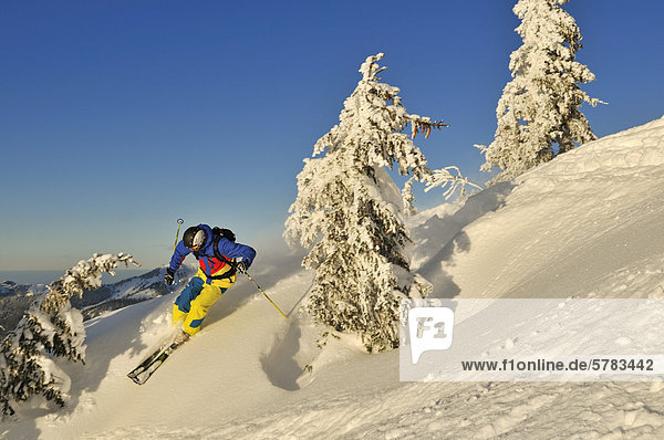 Skier downhill skiing on Steinplatte mountain  Reit im Winkl  Chiemgau  Bavaria  Germany  Europe