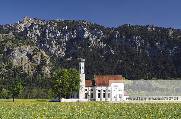 Wallfahrtskirche St. Coloman  Schwangau bei Füssen  Bayerische Alpen  Allgäu  Oberbayern  Bayern  Deutschland  Europa