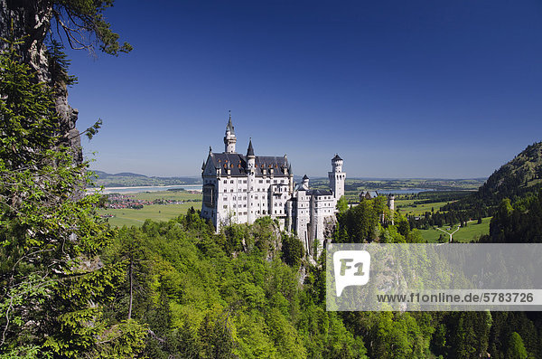 Schloss Neuschwanstein  Schwangau bei Füssen  Bayerische Alpen  Allgäu  Oberbayern  Bayern  Deutschland  Europa