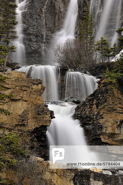 Tangle Creek Wasserfall  Jasper  Alberta  Kanada