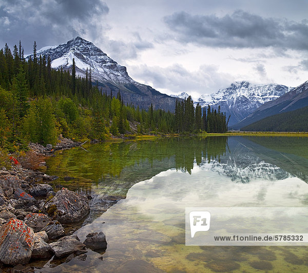 Bergen reflektiert in einem Teich in der Nähe der Beauty Creek Jugendherberge  Jasper Nationalpark  Alberta