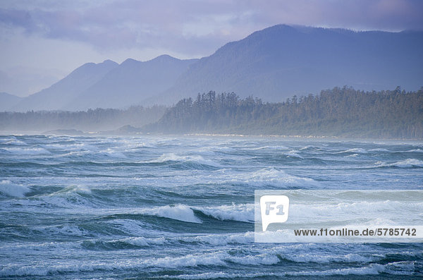Wickaninnish Beach im Pacific Rim National Park in der Nähe von Tofino  BC  Kanada auf Vancouver Island