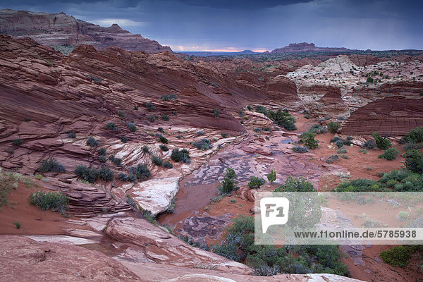Dawn in North Coyote Buttes als eine Übernachtung Donner Sturm Exerzitien Paria Canyon-Vermilion Cliffs Wilderness Area Utah Vereinigte Staaten
