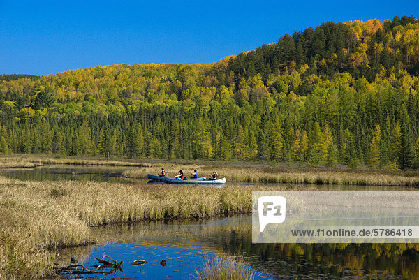 Kanuten genießen und Herbst Paddel auf Costello Creek Algonquin Park Ontario
