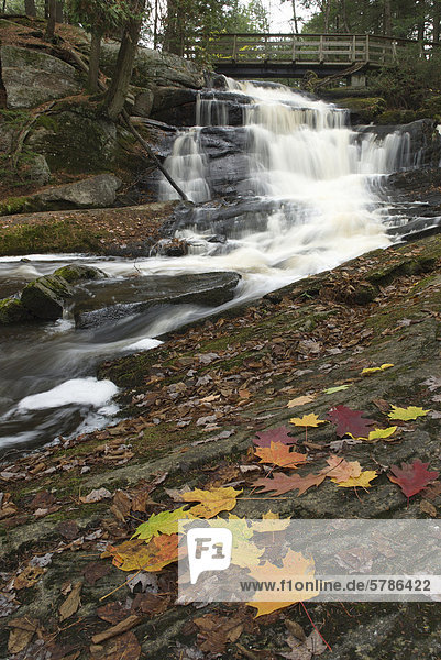 Wenig High Falls Bracebridge Muskoka Ontario