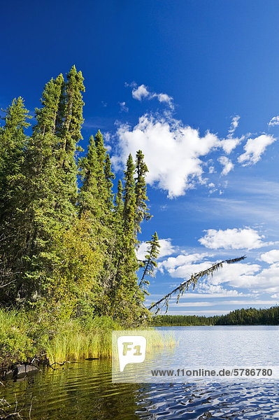 Little Deer Lake  Lac La Ronge Provincial Park  nördlichen Saskatchewan  Kanada