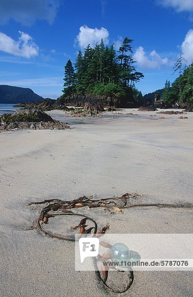 Nordwesten San Joseph Bay Vancouver Island British Columbia Kanada.