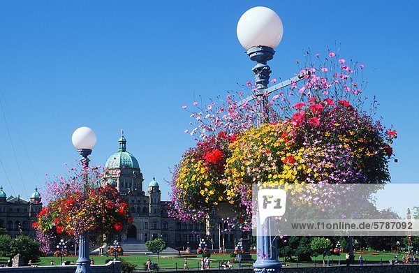 Blume Körbe hängen von Laternen mit dem Parlamentsgebäude jenseits  Victoria  Vancouver Island  British Columbia  Kanada.