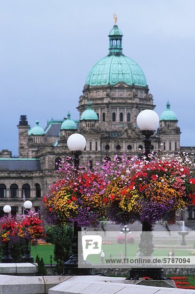 Blume Körbe hängen von Laternen mit dem Parlamentsgebäude jenseits  Victoria  Vancouver Island  British Columbia  Kanada.