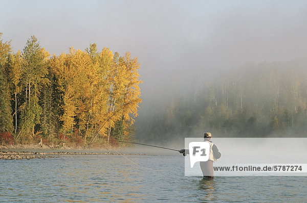 Fliegenfischer Angeln für Steelhead  Bulkley River  Smithers  Britisch-Kolumbien  Kanada.