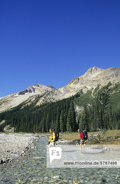 Female backpackers crossing the Little Yoho River  Iceline Trail  Yoho National Park  British Columbia  Canada.