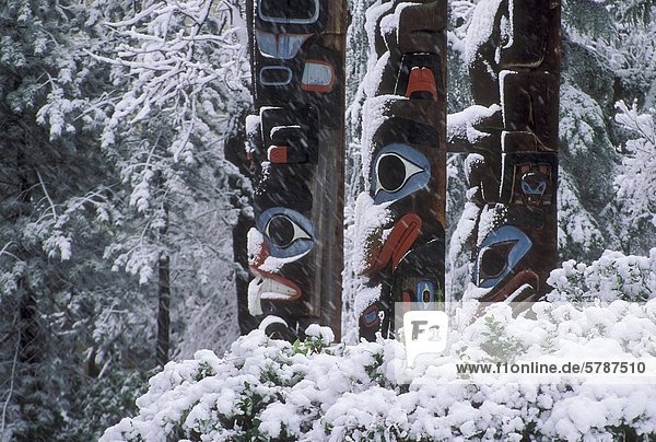 Totems der Thunderbird Park im Winter  Victoria  Vancouver Island  British Columbia  Kanada.