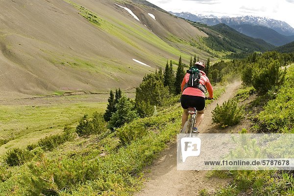 Mountain biker rides down from Windy Pass  Southern Chilcotin Mountains  British Columbia  Canada.