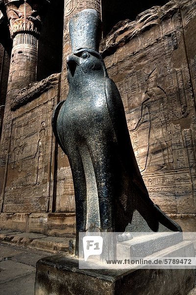 Statue des Horus vor Figurenrelief und Hieroglyphen im Innenhof des Horus-Tempel in Edfu  Ägypten
