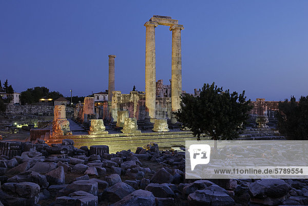 Apollo Temple in Didyma  Turkey