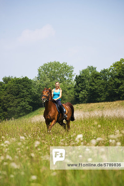 Teenage girl riding horse on meadow