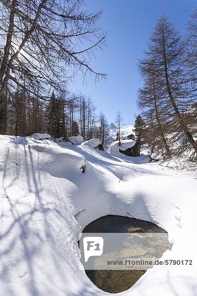Snow-covered brook in the Venediger Group Tyrol Austria