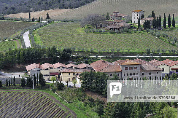 Das Weingut vom Castello di Brolio  Chianti-Gebiet  Toskana  Italien  Europa