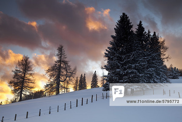 Winterabend auf der Teichalm  Weiz  Almenland  Steiermark  Österreich  Europa