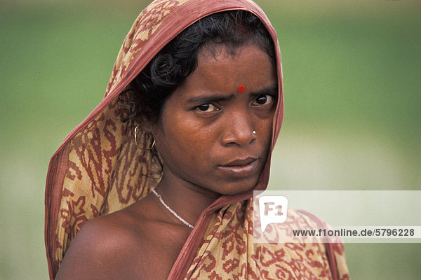 Frau in Sari  Landarbeiterin  Porträt  bei Cuttack  Orissa  Ostindien  Indien  Asien