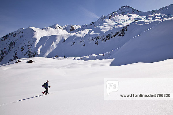 Cross-country skier in a wintry landscape  Zilertaler Alps  Zillertal  Tyrol  Austria  Europe