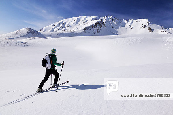 Skitourengeherin  Pfoner Kreuzjöchl  Tuxer Alpen  Tirol  Österreich  Europa