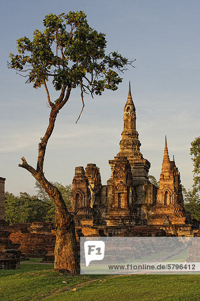Wat Mahathat  Sukhothai Historical Park  Sukhothai  Thailand  Asien