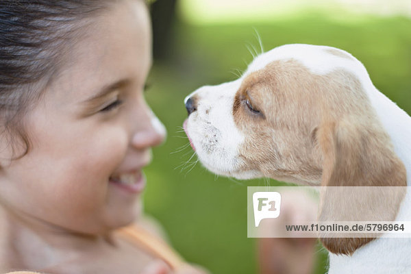 Girl playing with beagle puppy  side view