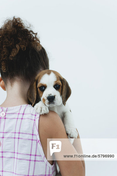 Girl holding beagle puppy  rear view