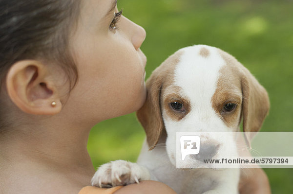 Girl carrying beagle puppy  close-up