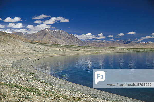 Ufer hochgelegener Bergsee Tso Moriri oder Tsomoriri Changtang oder Changthang Ladakh indischer Himalaya Jammu und Kaschmir Nordindien Indien Asien