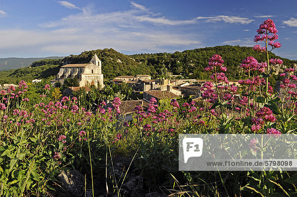 Dorf Saignon DÈpartement Vaucluse Region Provence-Alpes-CÙte d'Azur Frankreich Europa