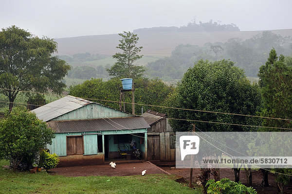 Sojabohne Bauernhof Hof Höfe frontal Feld Besitz Paraguay Südamerika