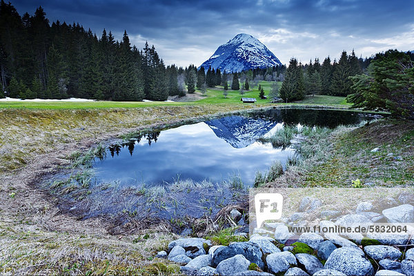 Peaks of Hohe Munde mountain being reflected in a pond  Seefeld  northern Tyrol  Tyrol  Austria  Europe