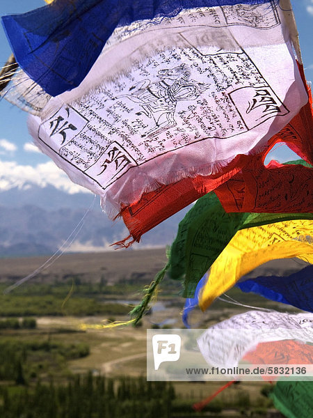 Buddhist prayer flags blowing in the wind  Ladakh  northern India  India  Asia
