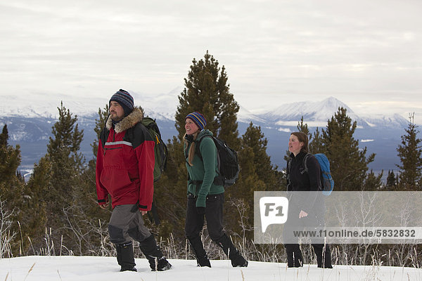 Gruppe von Wanderern im Schnee  Takhini Valley hinten  Yukon Territory  Kanada
