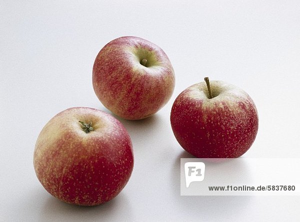 Three apples (variety 'Ingrid Marie')