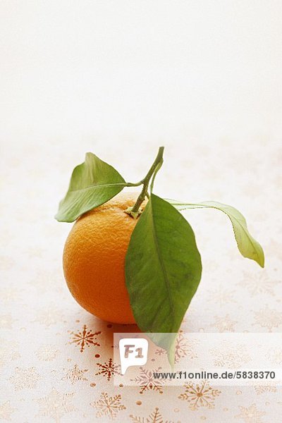 An orange with leaves