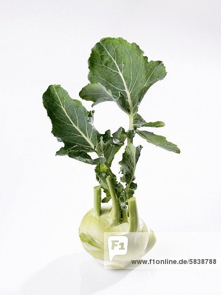A kohlrabi on a white surface