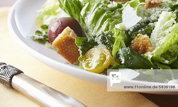 Romaine Lettuce Salad with Tomatoes  Croutons and Cheese