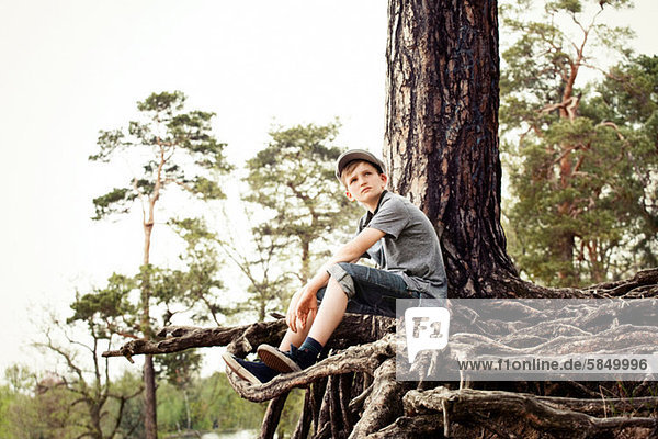 Boy sitting on roots of tree trunk