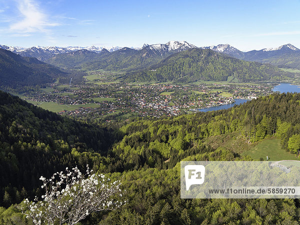 Rottach-Egern and lake Tegernsee  Tegernsee valley  view as seen from Riederstein mountain  Mangfall Mountains  Upper Bavaria  Bavaria  Germany  Europe